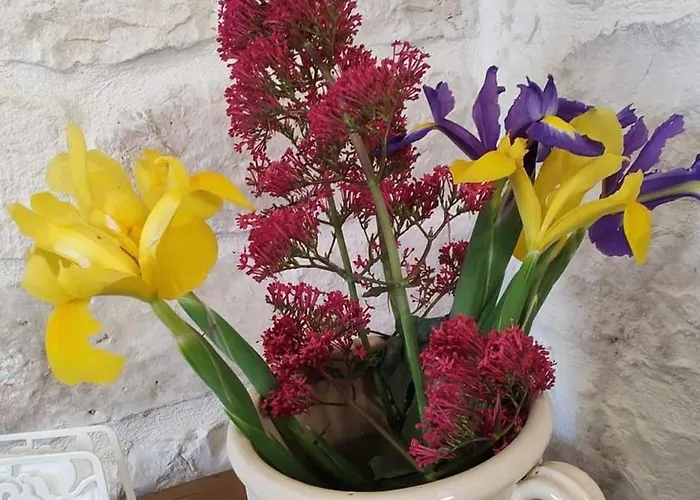 Trullo Pettirosso Сasa de vacaciones Ostuni